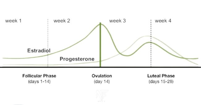 Tailoring Your Workouts to Your Menstrual Cycle