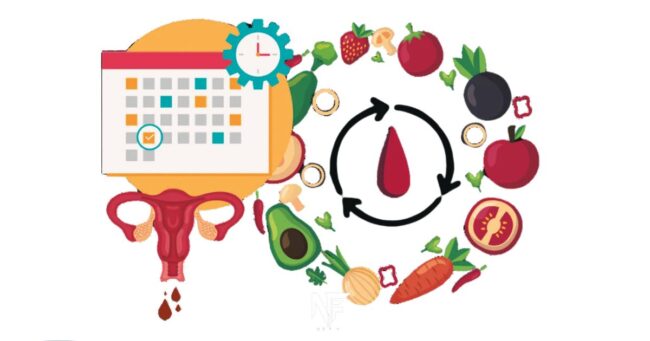 menstrual cycle nutrition support