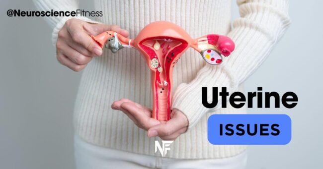 Uterine Issues